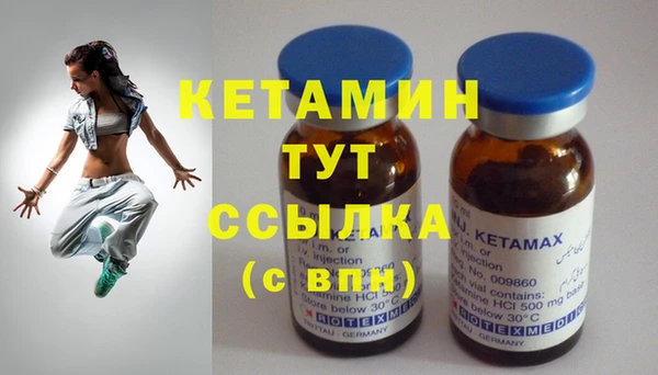 шишки Вязники