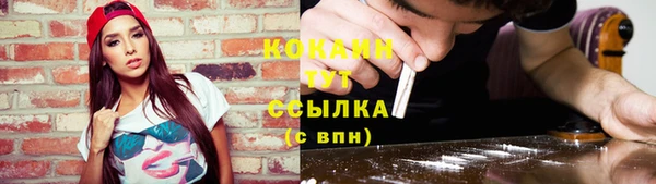 шишки Вязники