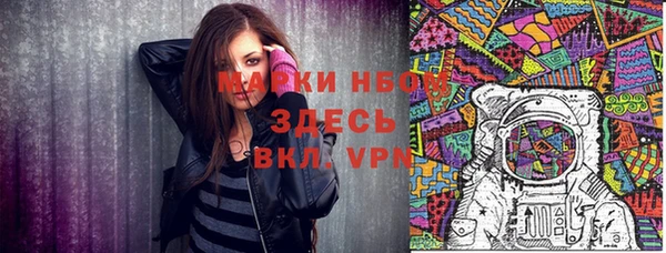 шишки Вязники