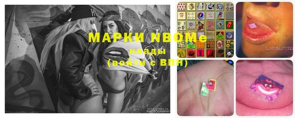 шишки Вязники