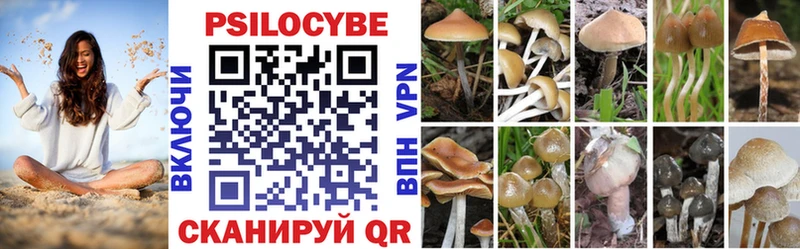 Галлюциногенные грибы ЛСД  Горнозаводск 